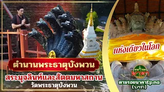 ตามรอยนาคาEp.38(ນາກ) : ตำนานพระธาตุบังพวน สระมุจลินท์และสัตตมหาสถานแห่งเดียวในโลก วัดพระธาตุบังพวน