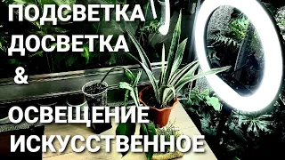 ПОДСВЕТКА & ДОСВЕТКА &  ИСКУССТВЕННОЕ ОСВЕЩЕНИЕ  / В ЧЕМ РАЗНИЦА? НА МОЕЙ ПРАКТИКЕ