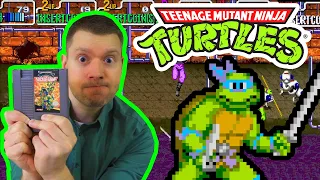 Ninja Turtles Arcade & NES Game History & Review w/ Raphael Actor, ROB PAULSEN! The IRATE Gamer