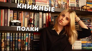 мои книжные полки || все мои книги