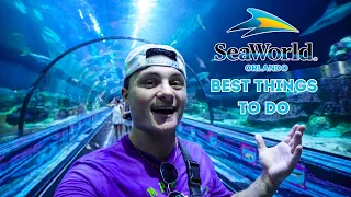 The Best Things to do at SeaWorld Orlando in 2023 | Coaster Capital of Orlando