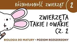 Różnorodność zwierząt 2 - Zwierzęta takie i owakie cz.2 - matura z biologii rozszerzona