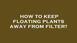 How to keep floating plants away from filter?