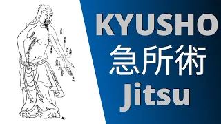 Was ist KYUSHO JITSU? Kampfkunst oder Zauberei