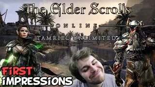 Elder Scrolls Online Tamriel Unlimited PC First Impressions "Is It Worth Playing?"