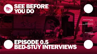 Bedford-Stuyvesant Neighborhood Gentrification Issue Interview Episode 01