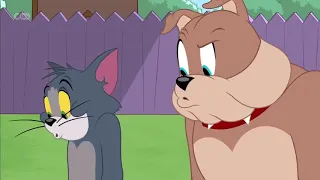 The Tom And Jerry Show   New seasson