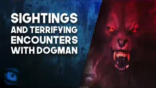 14 SIGHTINGS AND TERRIFYING DOGMAN ENCOUNTERS - What Lurks Above