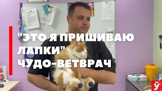 Павел Жульпа установил титановые протезы обгоревшему коту | Протезирование животных в Беларуси