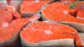 Salted salmon, salted steaks in brine fish according to the recipe from Fisherman DV 27,