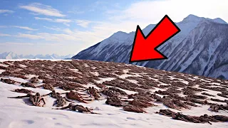 Alpiniștii au Rămas Șocați când au Făcut Această Descoperire în Vârful Munților