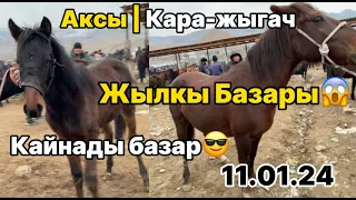 Аксы | Кара-жыгач мал базары | Жылкы сүйүүчүлөр жылкы баалары🔥🚨| 11-январь