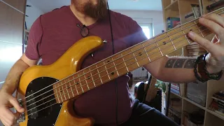 Bass Cover / Uspavanka za Radmilu M.