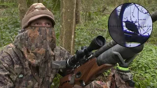The Airgun Show – Scope-cam crow roost hunt, PLUS the Air Arms S510 Ultimate Sporter R on test…
