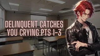[M4A] Delinquent Catches You Crying parts 1-3