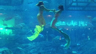 Mermaids of Arabia, Dubai Mall Aquarium, 2017