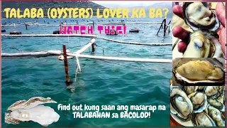 TALABA (OYSTER) LOVER KA BA? MATAMBOK AT MASARAP NA TALABAHAN SA BACOLOD #food  #travel #viralvideo