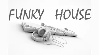 FUNKY HOUSE 181