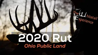 2020 Bowhunting Ohio Rut on Public land | Chasing November Bucks