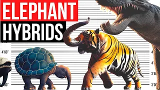 HOW Hybrid of Elephant Will Look Like | Tiger, Crocodile, Blue Whale