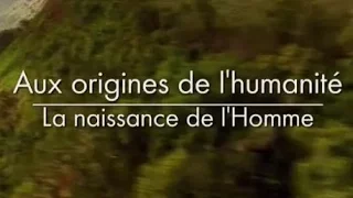 Aux origines de l'humanité - La naissance de l'homme [2/3]