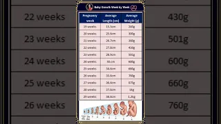 గర్భంలో పిండం ఎదుగుదల | Baby Weight & Length Week by Week in Pregnancy #babygrowth #babydevelopment