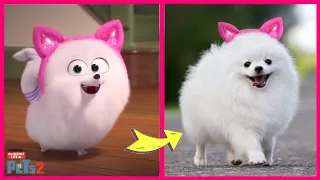 The Secret Life Of Pets 2 And Their Favorite Drinks ! The Secret Life Of Pets 2 In Real Life