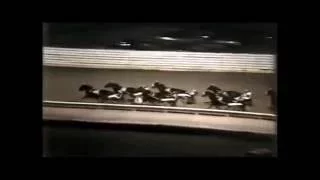 1981 Yonkers Raceway SECRET SERVICE Open Pace