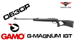 Пневматическая винтовка GAMO G-MAGNUM 1250 IGT (с газовой пружиной)