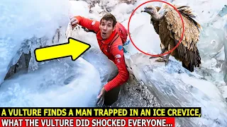 Climber Got Stuck in a Crack, When a Vulture Landed Next to Him Something Happened