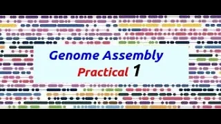 Genome Assembly Practical Part 1