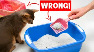 Never make THESE MISTAKES with YOUR CAT'S LITTER BOX! 😿🔥