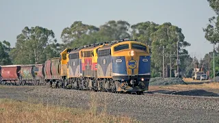 A VINTAGE 1980s Victorian Railway Scene in 2023 with The SSR Broad Gauge grain.