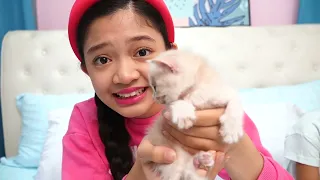 Kaycee’s Adorable New KITTENS (we got three!) | KAYCEE WONDERLAND