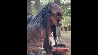 scene film predator