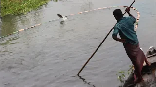 Net Fishing | Catching Fish || Best Fish hunting video || Unique Tiny Fish Trapping System