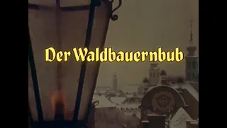 PETER ROSEGGER - Der Waldbauernbub (Weihnacht in der Waldheimat)