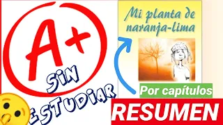 Mi planta de Naranja Lima - Aprueba Sin Estudiar - Te lo Resumo al Toque - Vasconcelos