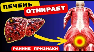 НЕ ИГНОРИРУЙТЕ ЭТИ 15 Признаков того, что Ваша ПЕЧЕНЬ ОТМИРАЕТ! 90% людей  даже НЕ Догадываются ЧТО