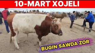 10-МАРТ 2024-ЖЫЛ/ХОЖЕЛИ МАЛ БАЗАР/СКОТНЫЙ РЫНОК/BUQALAR/BIGGEST BULLS IN THE WORLD/BIGG BULLS