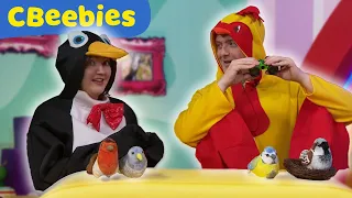 Ceann-fionn Agus An Cearc 🐧🐔 | Taigh CBeebies ALBA | BBC ALBA