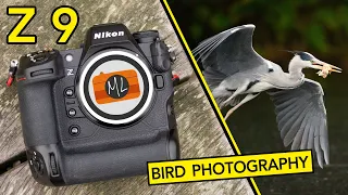 Nikon Z9 for Bird Photography Review (Settings, Bird Eye AF, Birds in Flight)