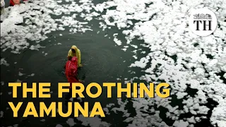 What causes frothing in the Yamuna?