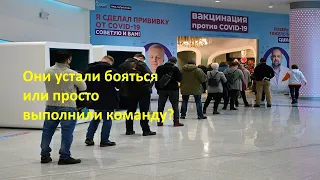 Возможен ли коллективный иммунитет от вируса химеры