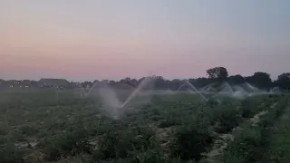 strawberry field irrigation system pt2