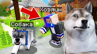 БРОДЯЧИЙ ПЕС СБЕЖАЛ ИЗ ДОМА В МАЙНКРАФТ! ЖИЗНЬ ЖИВОТНЫХ В MINECRAFT!