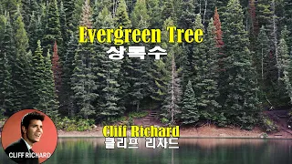 Evergreen Tree - Cliff Richard (상록수 - 클리프 리차드)(1960) lyrics가사 해석 자막