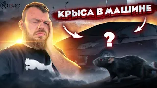 Мы Купили БИО Зараженную Машину С Аукциона @3BRO