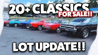 20+ Classic Cars FOR SALE!! LOT UPDATE!