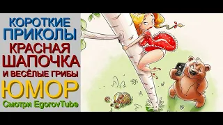 КРАСНАЯ ШАПОЧКА И ГРИБЫ ДЛЯ РАДОСТИ & КОРОТКИЕ ПРИКОЛЫ И ШУТКИ [[[ЕГОРОВ & БОРИСОВА]] #ПРИКОЛЫ #ЮМОР